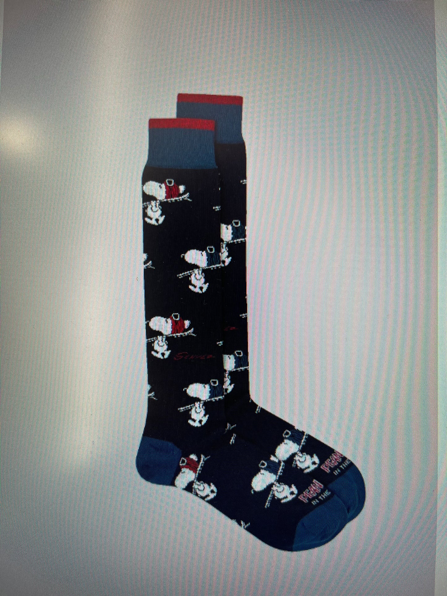 In the box Calzini Snoopy ski allover BLU