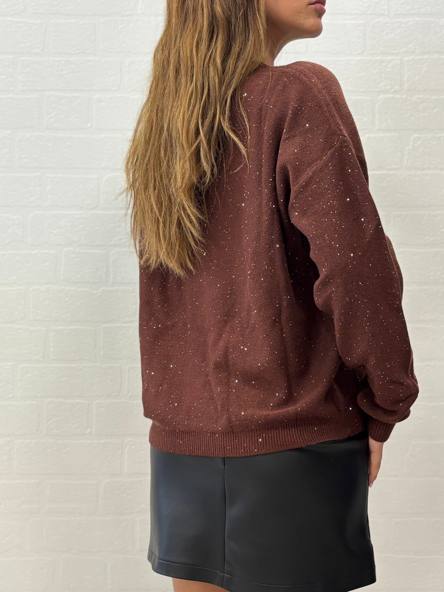 Griffai Maglia over girocollo ml con paillettes argento MARRONE